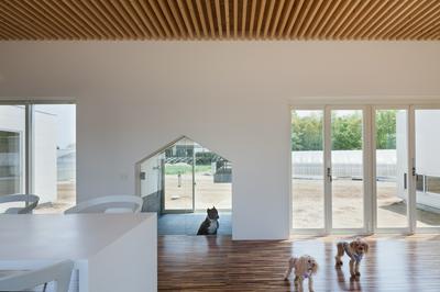 羽鳥の平屋　〜畑を横に愛犬と住む〜 | 建築家 納谷 学 の作品
