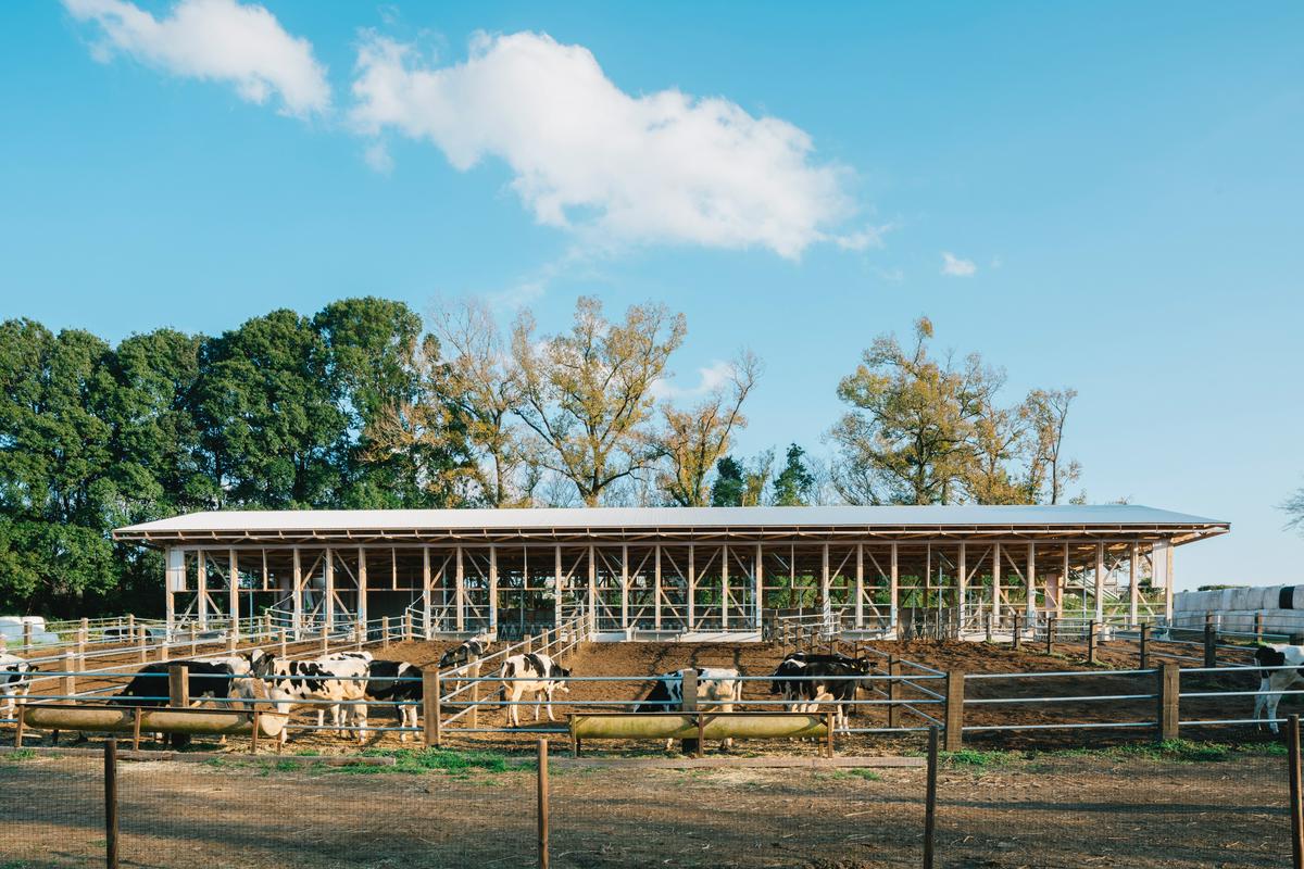 作品「cow house」の画像 その2 （建築家 : 松尾宗則 ・ 松尾遥）