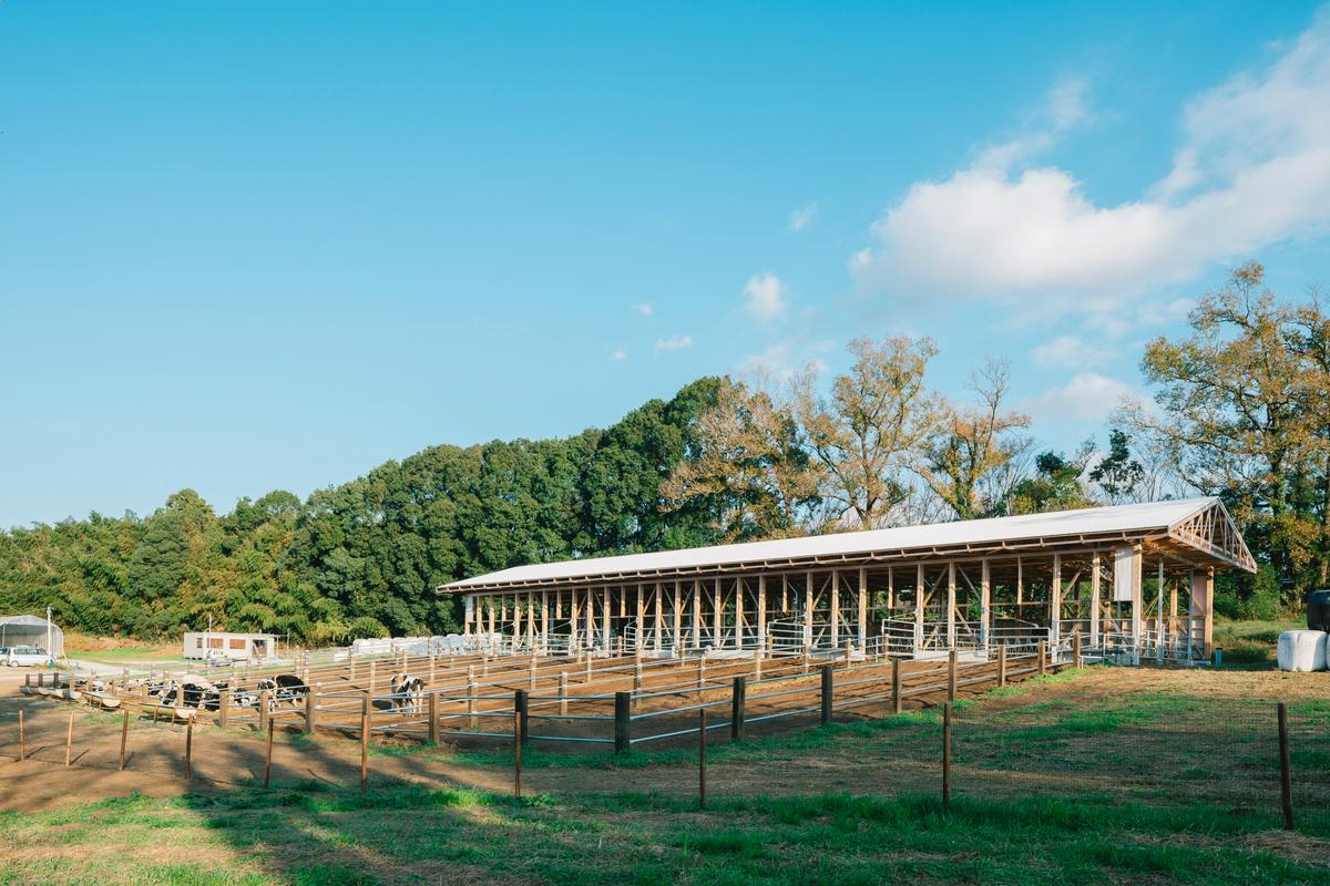 作品「cow house」の画像 その7 （建築家 : 松尾宗則 ・ 松尾遥）