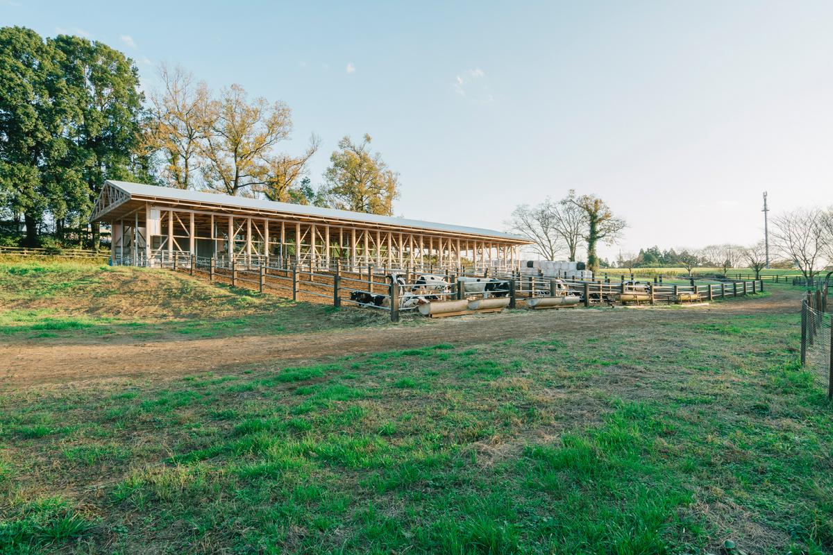 作品「cow house」の画像 その4 （建築家 : 松尾宗則 ・ 松尾遥）