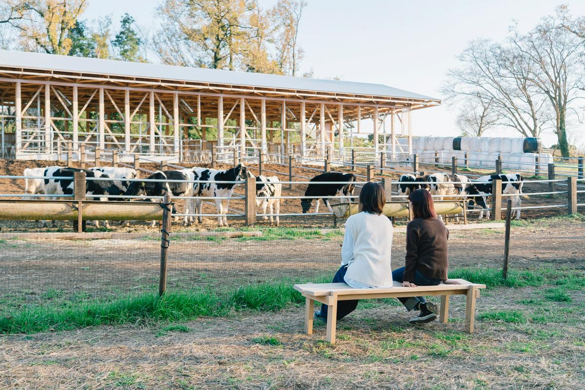 作品「cow house」の画像 その5 （建築家 : 松尾宗則 ・ 松尾遥）