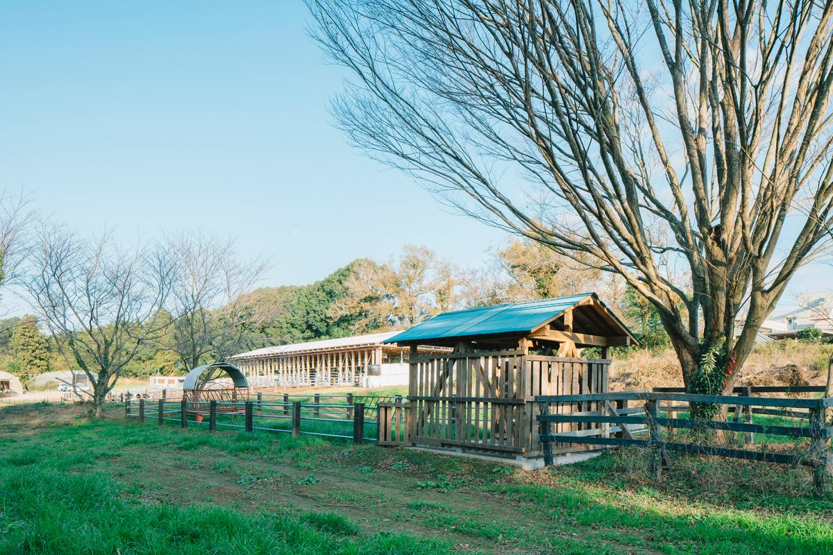 作品「cow house」の画像 その8 （建築家 : 松尾宗則 ・ 松尾遥）