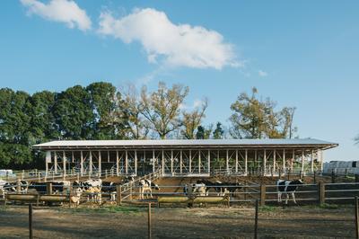 cow house | work by Architect Munenori Matsuo & Haruka Matsuo