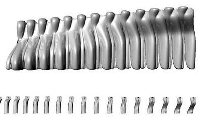 作品「BONES」の画像 その10 （建築家 : 高田 彩実）