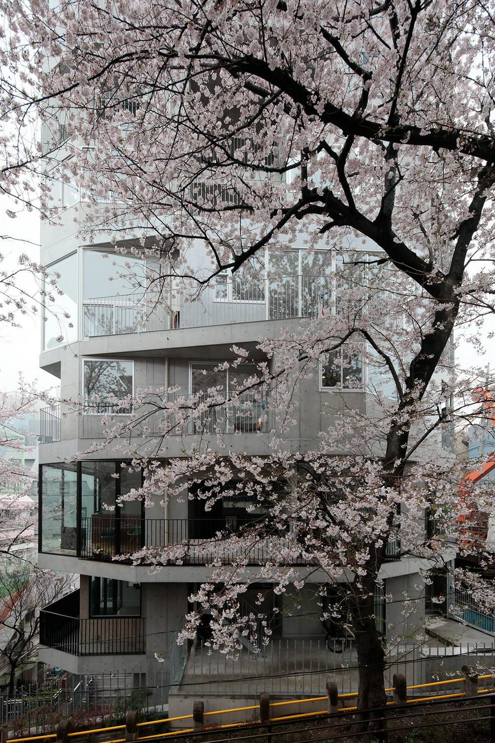 Image of "コーポラティブガーデン", the work by architect : Erika Nakagawa (image number 1)