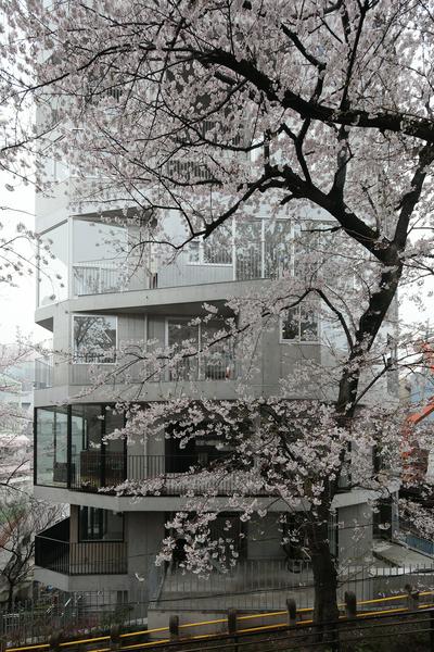 コーポラティブガーデン | 建築家 中川 エリカ の作品