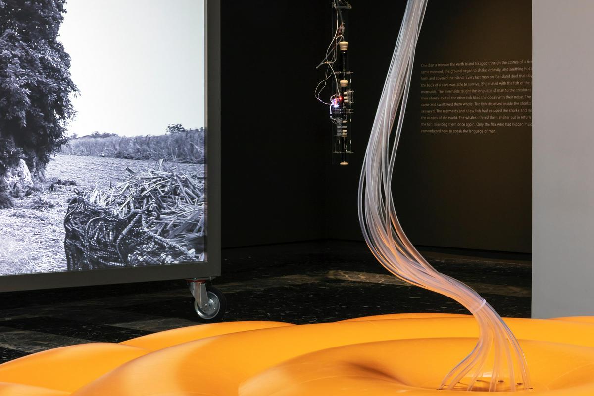 Image of "Cosmo-Eggs", the work by architect : Fuminori Nousaku (image number 4)