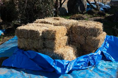 作品「明野の高床 ｜Akeno Raised Floor」の画像 その17 （建築家 : 能作 文徳）