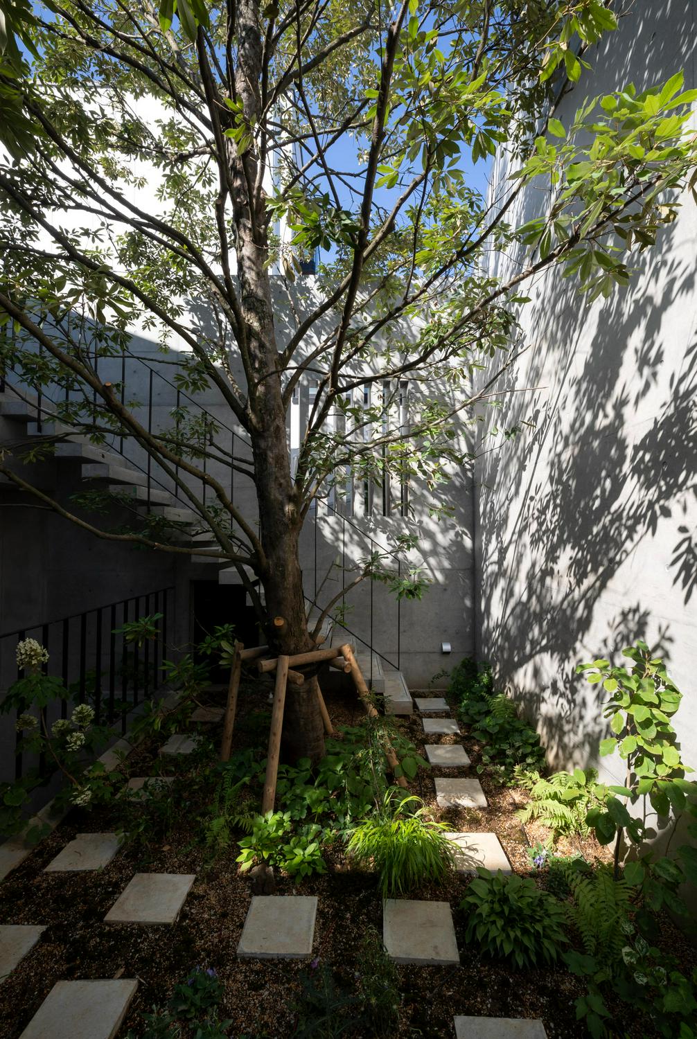Image of "Concrete Shell House", the work by architect : Atsushi Ikawa (image number 5)