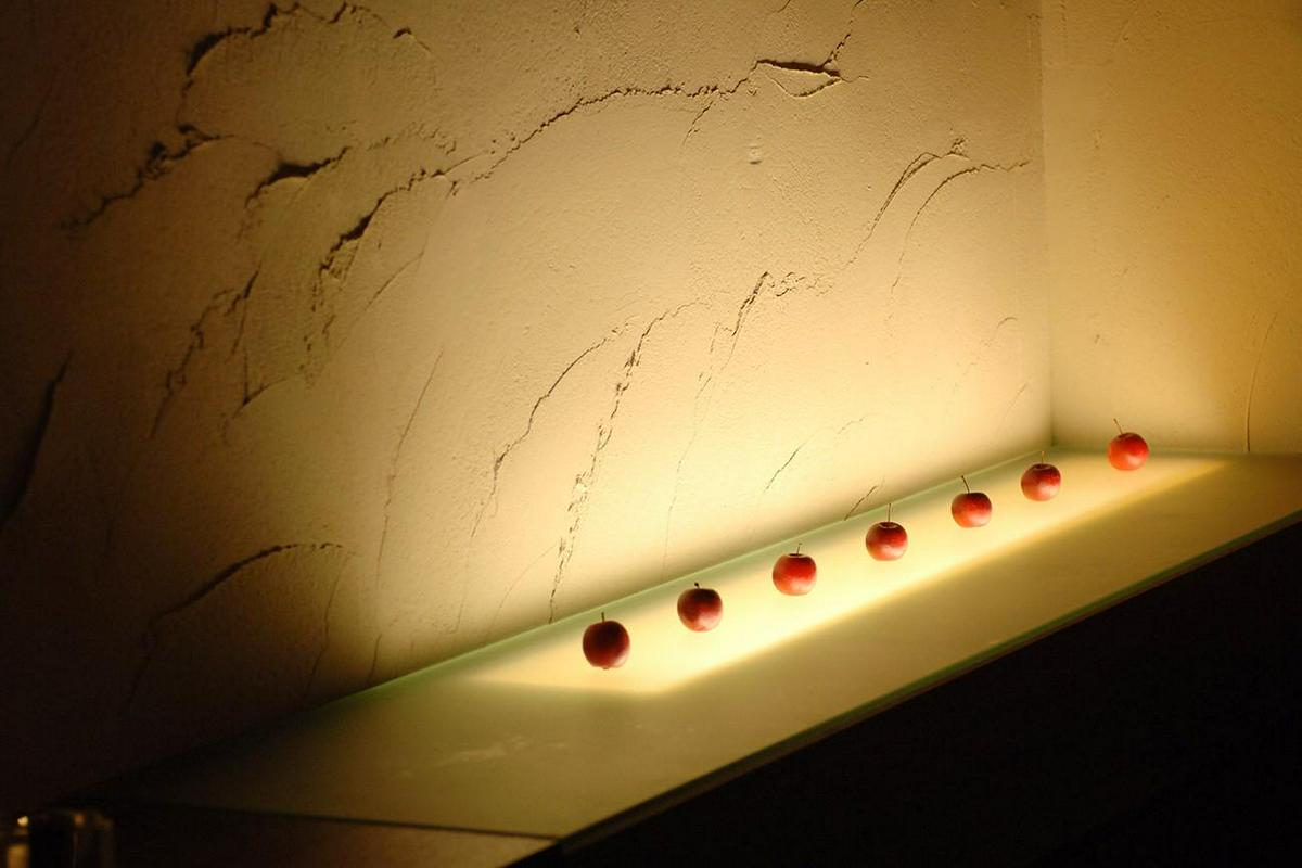 作品「φ ｜Phi」の画像 その6 （建築家 : 中山 眞琴）