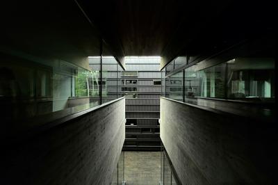  坐忘林 ｜Zaborin | work by Architect Makoto Nakayama