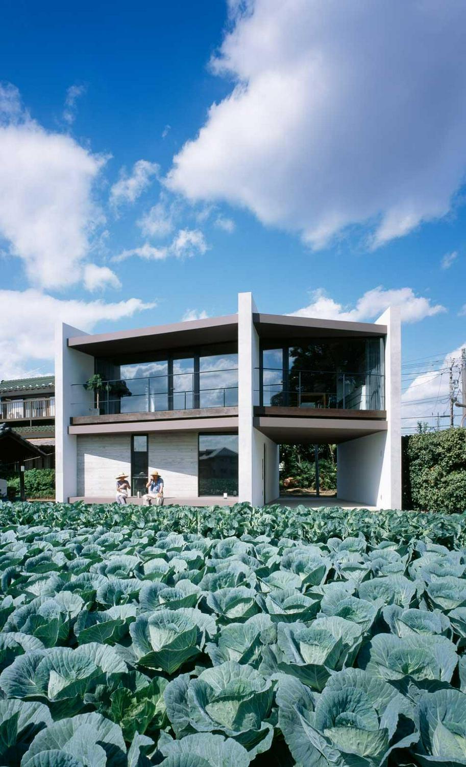 作品「キャベツ畑と家」の画像 その2 （建築家 : 森 清敏 + 川村奈津子）