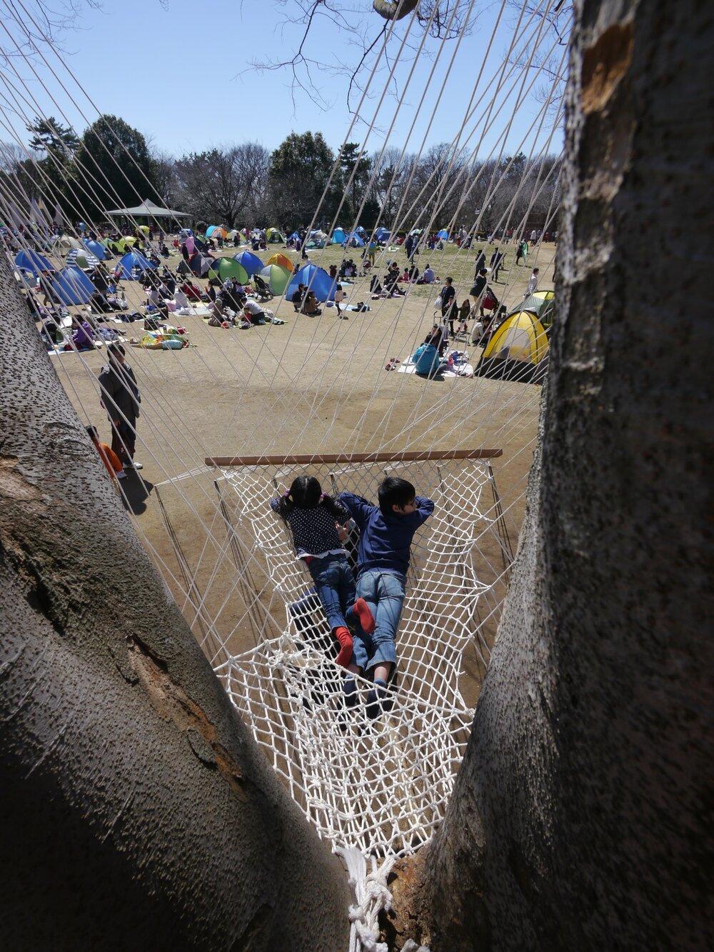 作品「木の上の眠りの家 | Hammock Tree House」の画像 その5 （建築家 : 金野 千恵）