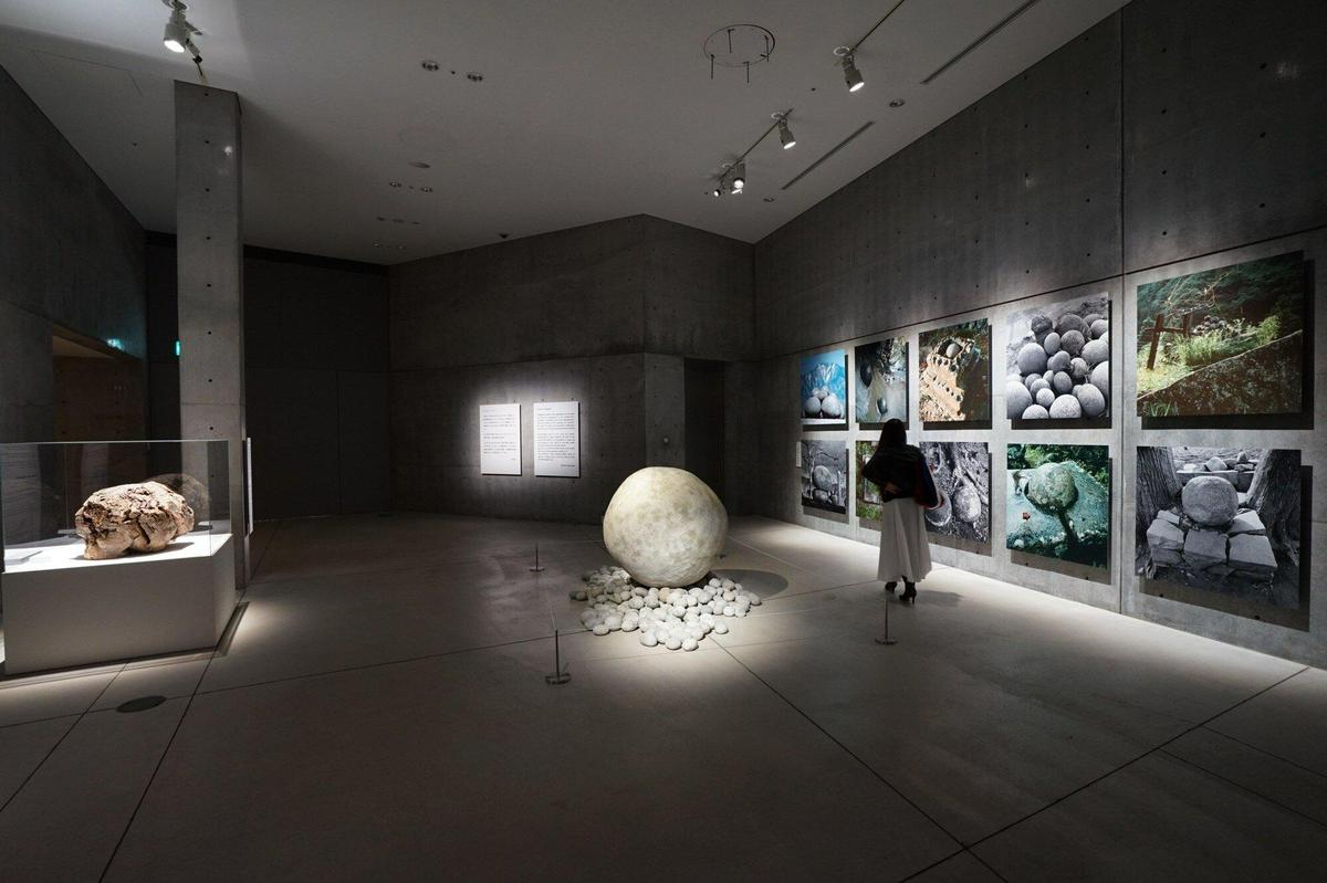 作品「野生展：飼いならされない感覚と思考 | Wild:Untamed Mind」の画像 その1 （建築家 : 金野 千恵）