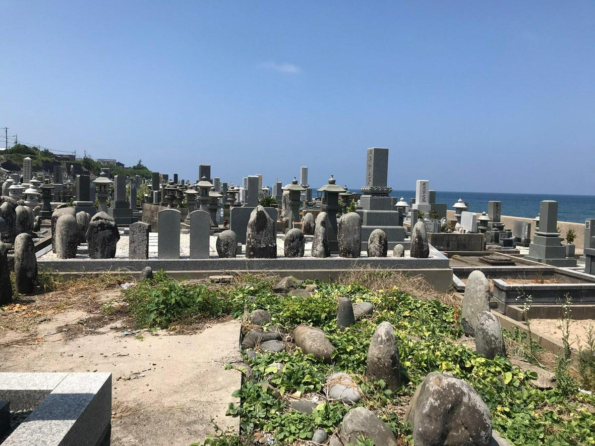 作品「琴浦町生涯学習センター | Kotoura town Lifelong Learning Center」の画像 その2 （建築家 : 金野 千恵）
