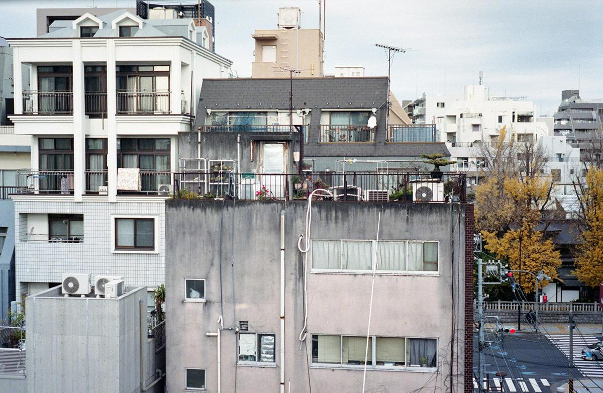 作品「B A S E」の画像 その30 （建築家 : 金野 千恵）