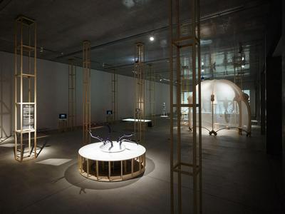 作品「｢骨」 展」の画像 その6 （建築家 : 鈴野 浩一）