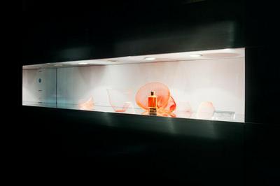 作品「「空気の器」 新年ディスプレイ in ISETAN」の画像 その18 （建築家 : 鈴野 浩一）