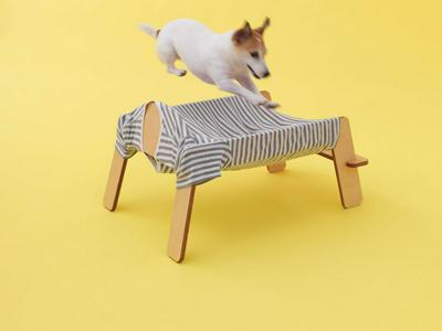 作品「ワンモック」の画像 その2 （建築家 : 鈴野 浩一）