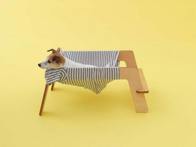 作品「ワンモック」の画像 その3 （建築家 : 鈴野 浩一）