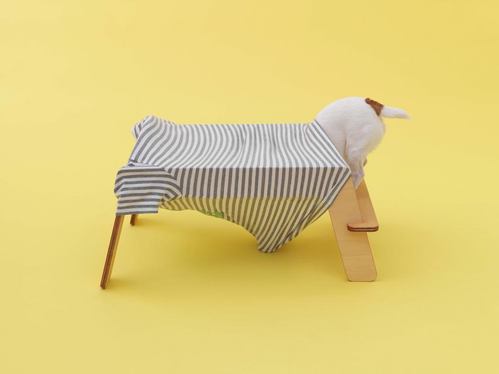 作品「ワンモック」の画像 その4 （建築家 : 鈴野 浩一）