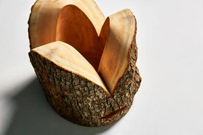 作品「LOG」の画像 その12 （建築家 : 鈴野 浩一）