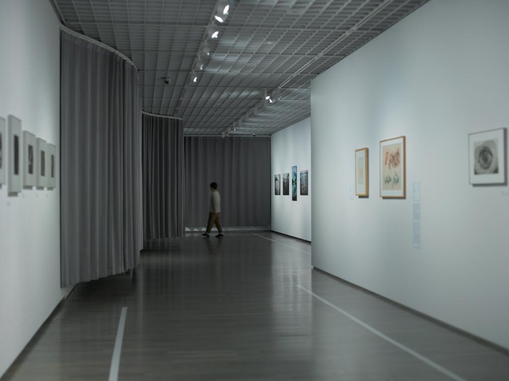 作品「眠り展：アートと生きること　ゴヤ、ルーベンスから塩田千春まで」の画像 その8 （建築家 : 鈴野 浩一）