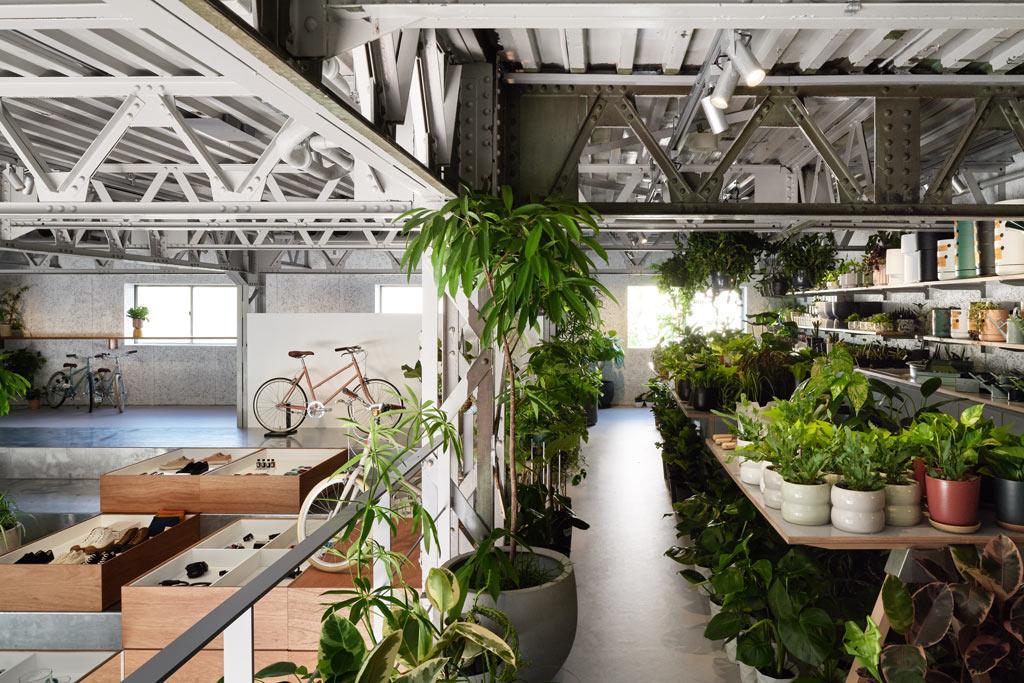 作品「TOKYOBIKE TOKYO」の画像 その15 （建築家 : 鈴野 浩一）